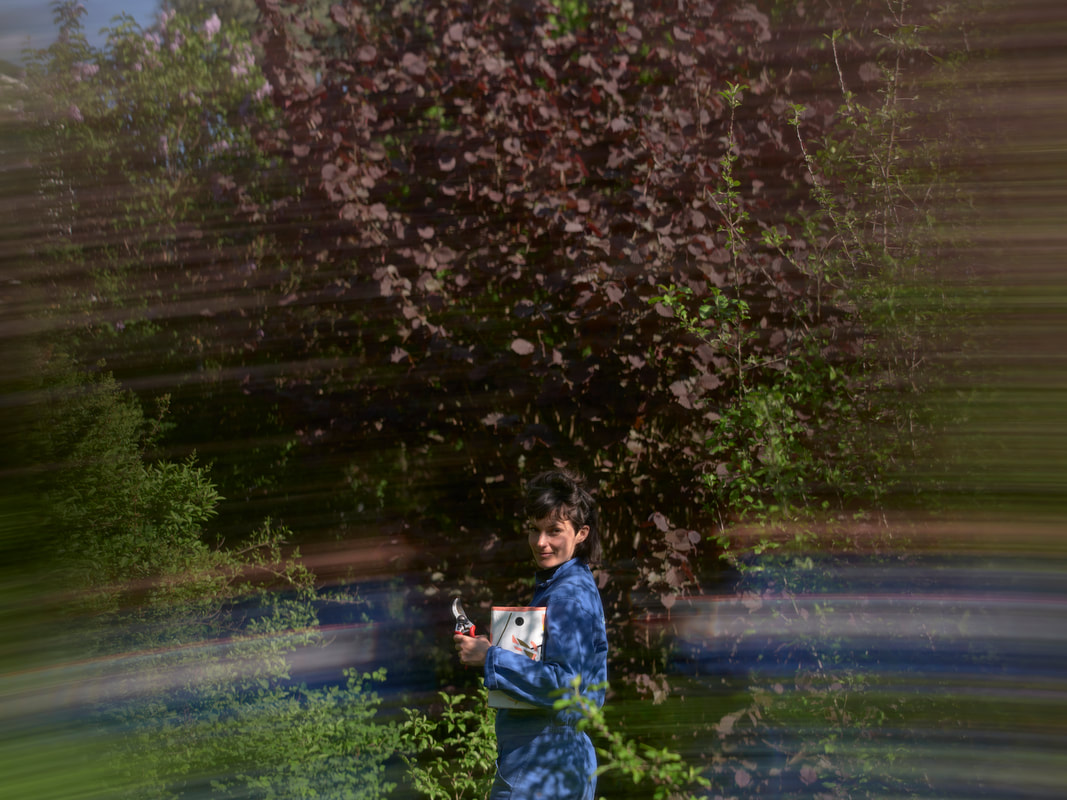 Picture